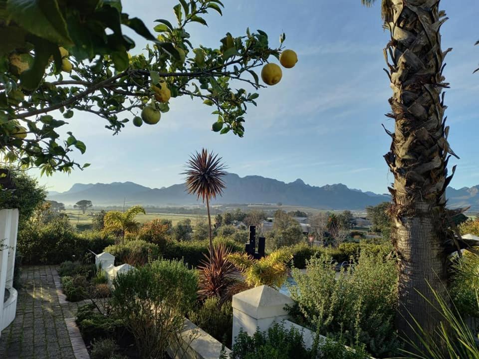 Wild Mushroom Country House Stellenbosch Exterior photo